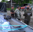 Семь населенных пунктов остаются без транспортного сообщения на севере Приморья - Дальнереченский район