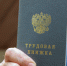 Работодателей, желающих получить миллион за привлечённых сотрудников, ищут в Приморье - Дальнереченский городской округ